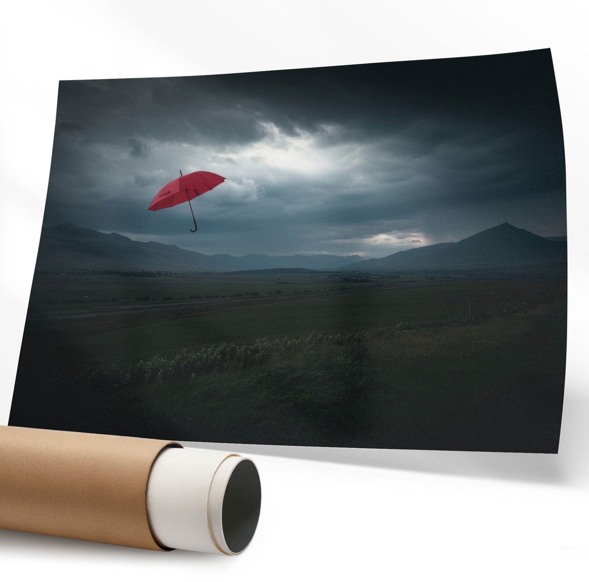 Coloray Polycanvas Wandposter - Slangenposter, Poster - A1 - Zwart Wandposter - Rechthoek - Canvasposter - Woonkamer - Expressief