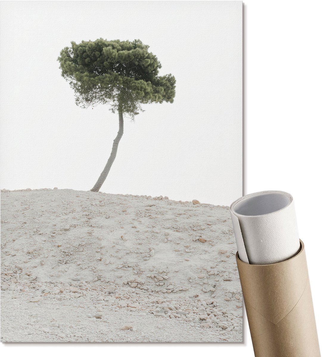 Coloray Polycanvas Poster - Eenzame Boom, Fotografie - A4 - Wit Motief - Rechthoek - Muurdecoratie - Woonkamer, Slaapkamer, Kantoor - Minimalist