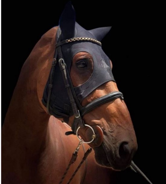 Bruin paard met zwart oornetje en gouden rand.