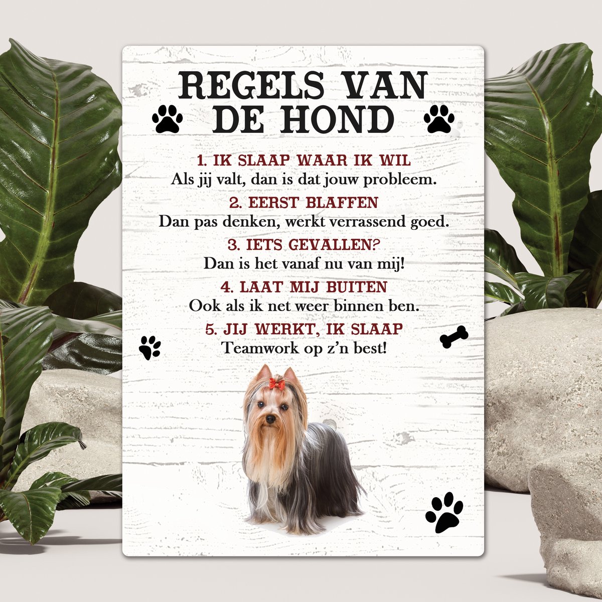 Spreuken - York - Regels Van De Hond - Spreuken Bordjes - Spreukenbord - Tekstborden - Cadeau - Hondenras