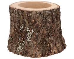 Eikenhouten plantenhouder Ø16–19 cm x 15 cm | boomstam-look voor terrarium en interieur