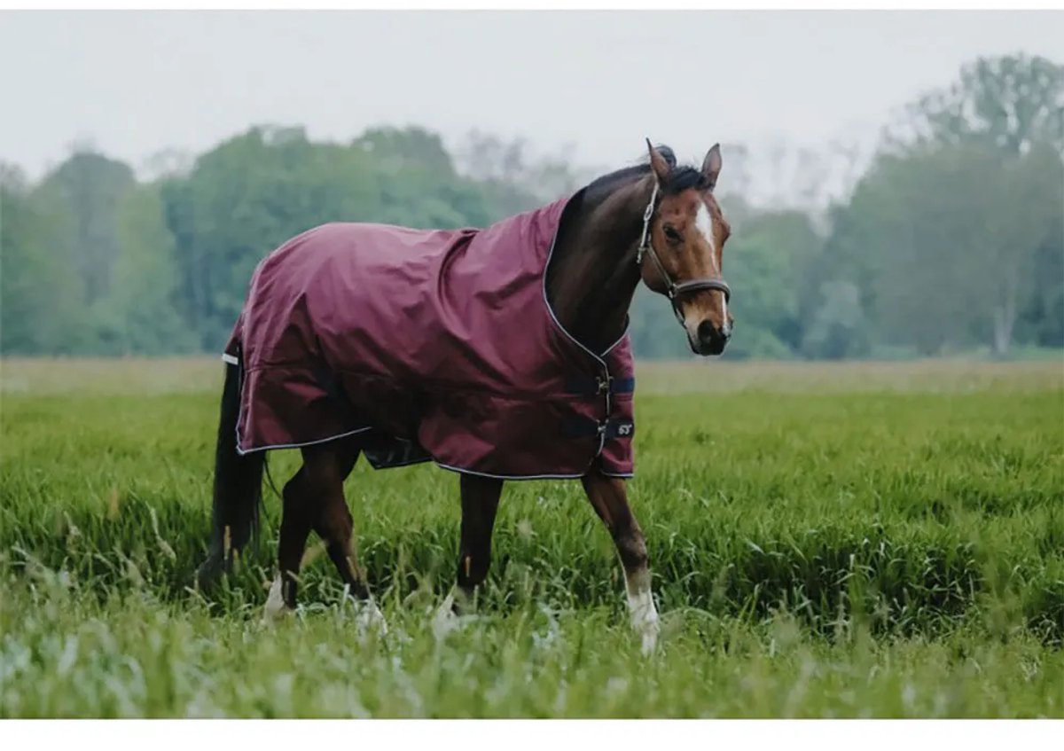 Equitheme Standard 1200d 50g Uitloopkleed Paars 5´9´´