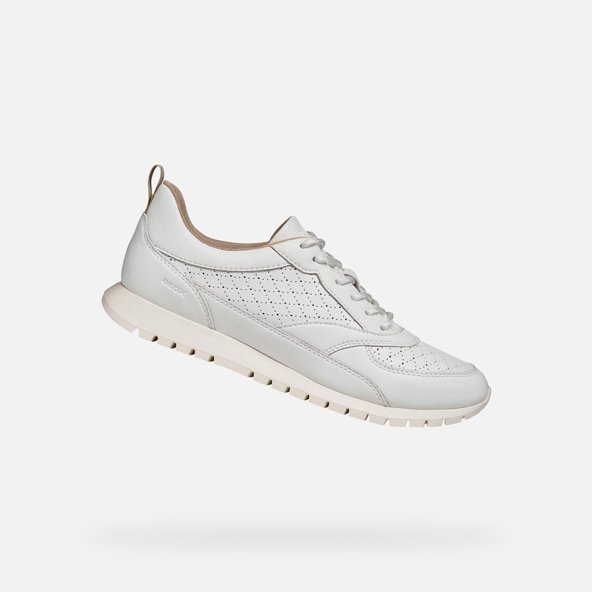 Wit