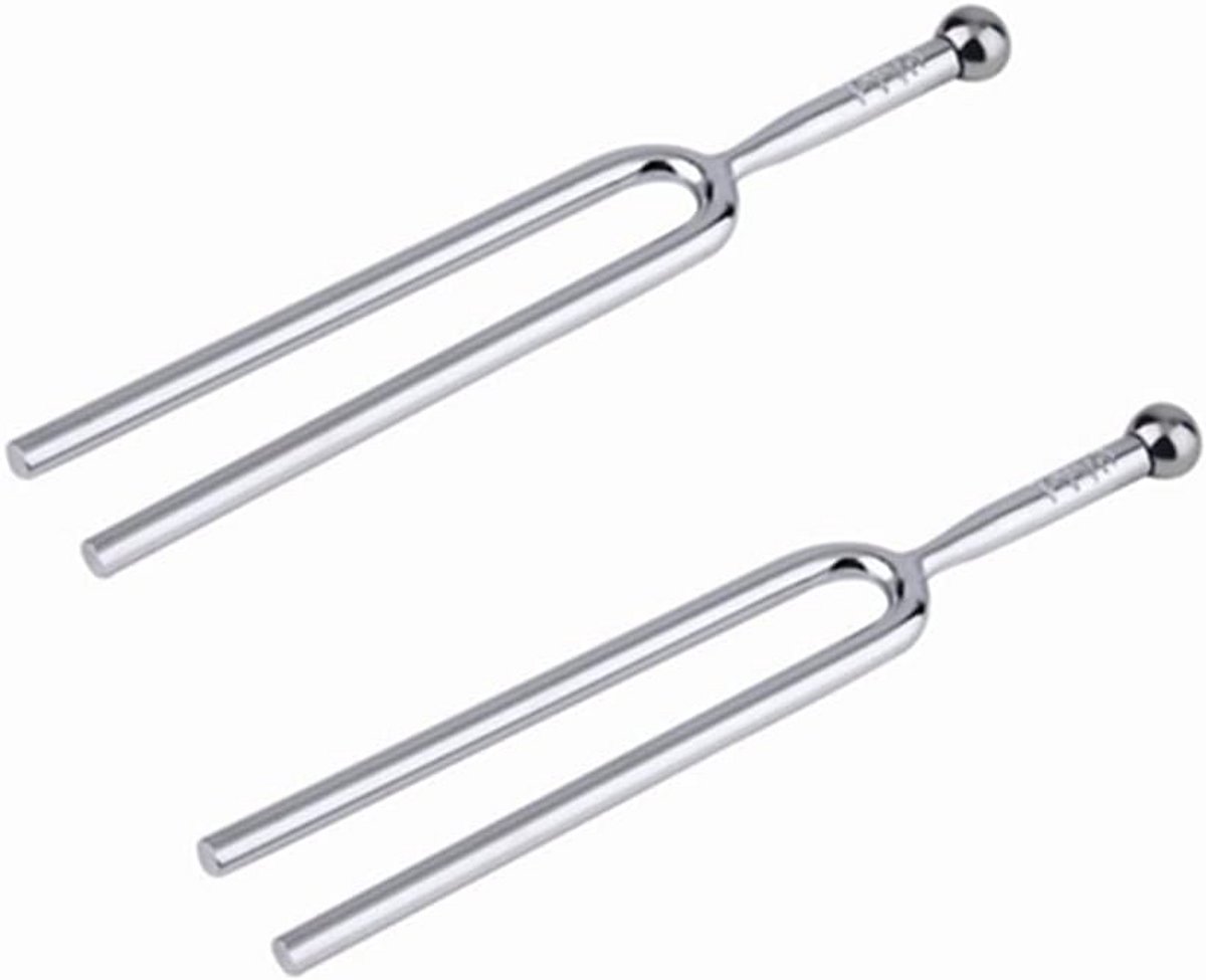 2-Delige Set Roestvrij Stalen Toetsbord A440Hz Chakra Toon Tool Voor Muziekapparatuur