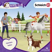 SCHLEICH - Famille de mini-shetlands - 41432 - Gamme Horse Club SCHLEICH - Famille de mini-shetlands - 41432 - Gamme Horse Club