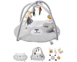 Baby Speelmat - Babygym Activiteiten Speelkleed - 99,5 x 83 x 55 cm - 5 Sensorische Speeltjes - Muzikale Lichtgevende Eend - Voor 0-18 Maanden