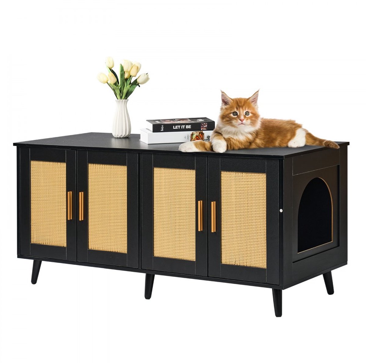 Kattenbak meubel – Kattenbak ombouw – Voor 2 katten – Deuren met rotan – Houten kast – Past op de meeste kattenbakken – 119,4 x 40,1 x 55,6 cm – Zwart