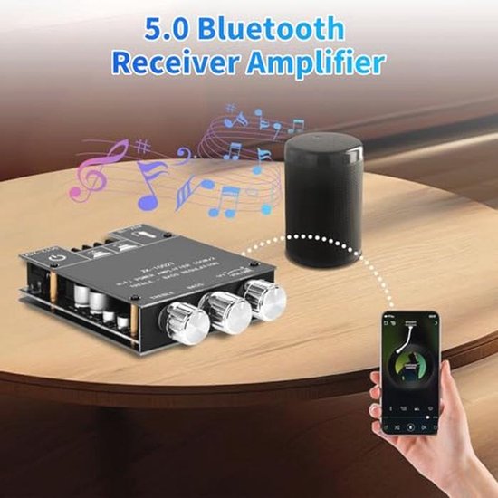 2x100W Bluetooth 5.0 Versterker Module met AUX-ingangen en TWS Functie ...