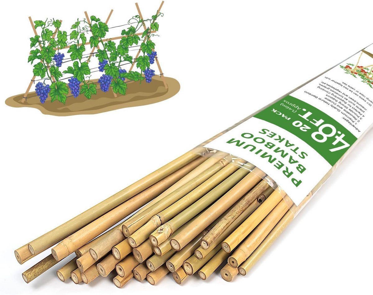 Bamboestokken 20 stuks 10 cm langere stevige tuinpalen voor tomaten groenten bonen bomen klimplanten