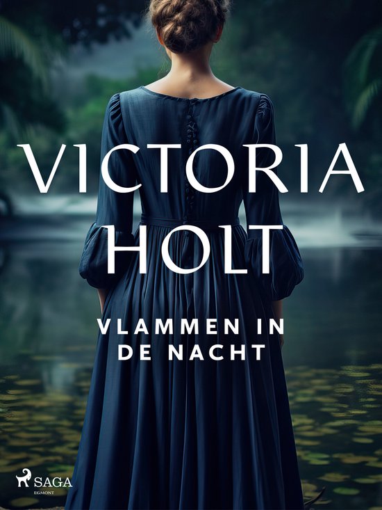 Vlammen in de nacht - cover