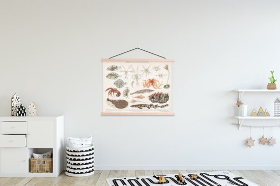 Porte-affiche avec affiche - Affiche scolaire - Animaux aquatiques - Vintage - Illustration - 150x113 cm - Lattes noires