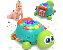 Muzikaal Schildpad Kruipspeelgoed
