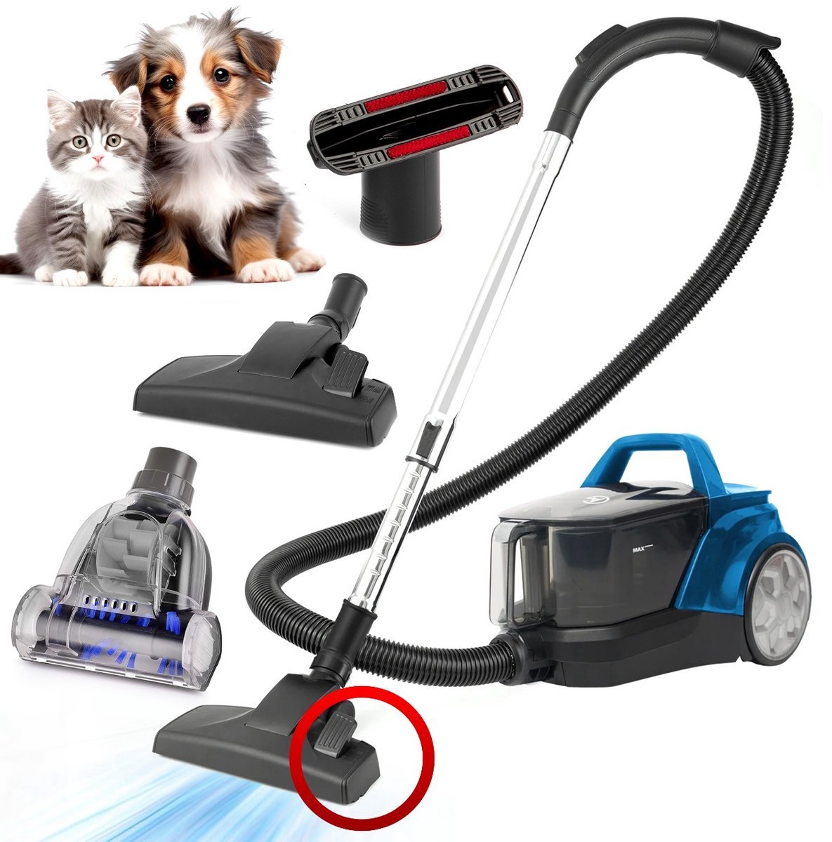 AG3200 Stofzuiger Zonder Zak – 900W Krachtige Vacuum Cleaner – Geschikt voor Dierenharen – Turboborstel voor Katten & Honden – Sterke Zuigkracht – Zakloos – 3L – HEPA-filter – Aurora Blue