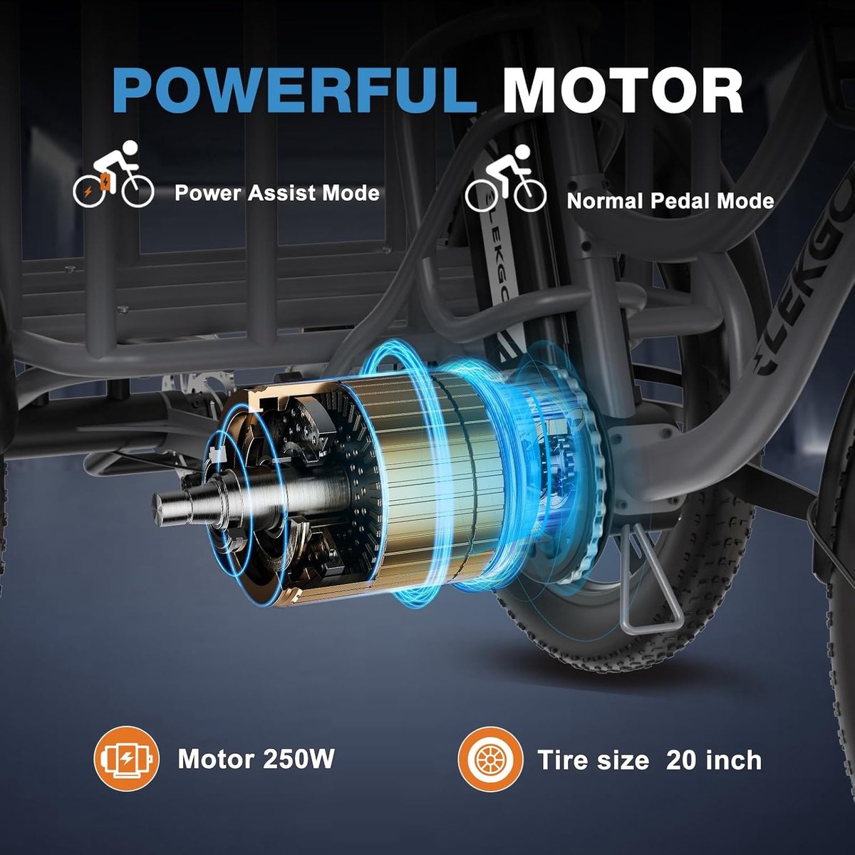 ELEKGO Elektrische Driewieler EGO 03S - 20*3.0 Inch Fat Tire City Commuter EBike met Afneembare 48V 18 Ah Lithium Batterij - Bakfiets E-Bike met 250W Motor - IP54 Waterdicht – foto 8