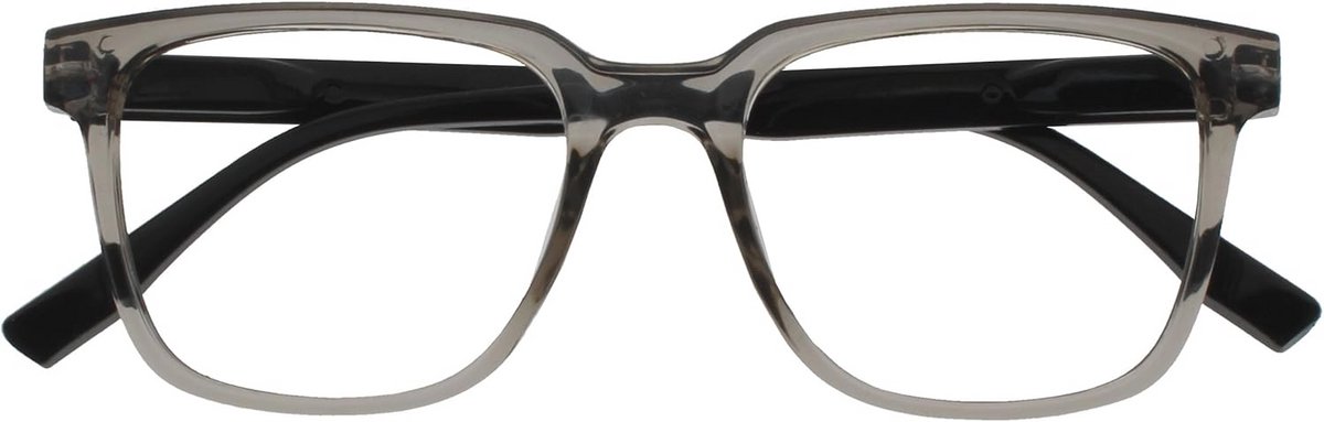 Grote Rechthoekige Leesbril met Veerscharnieren - Grijs - Unisex - +2.50 Diopter