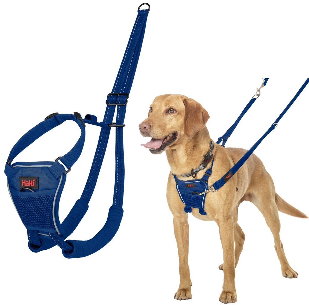 Hondentuigje Company of Animals COBALT Blauw 12