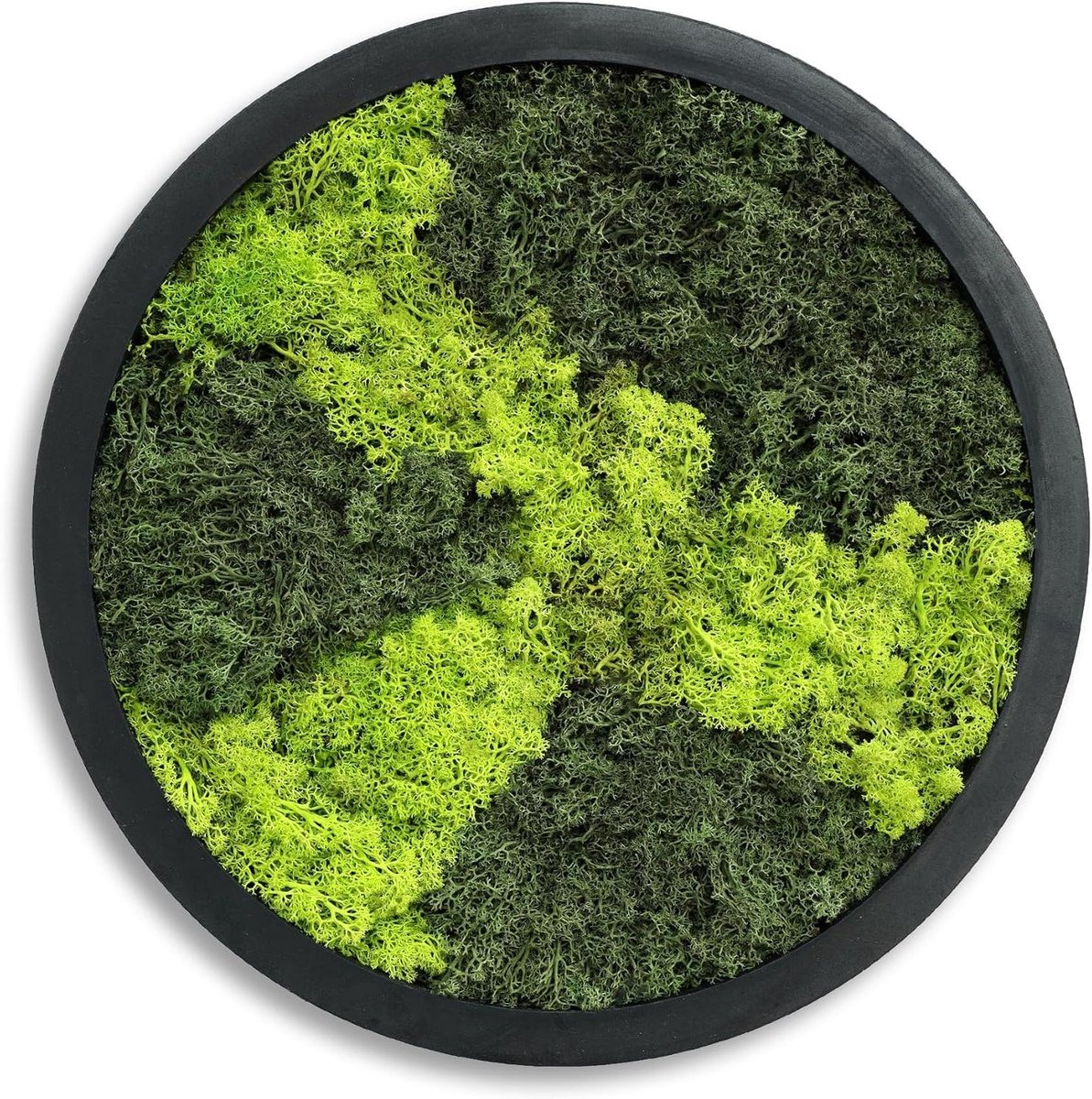 CSGoods - Ronde wandafbeelding met echt mos - natuurlijke wanddecoratie - houten lijst - diameter 38 cm.