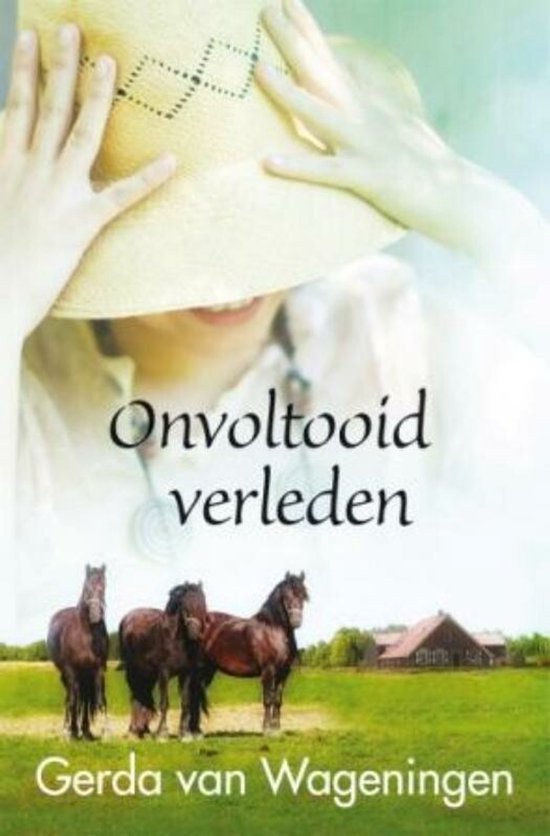 Onvoltooid verleden - cover