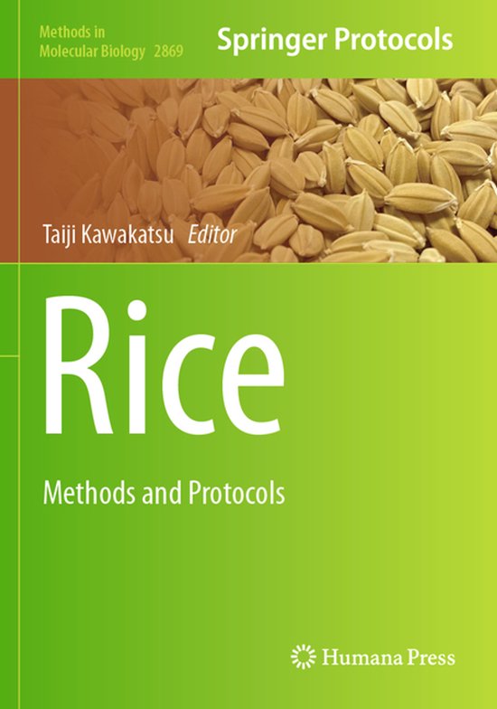 Methods in Molecular Biology2869- Rice - cover