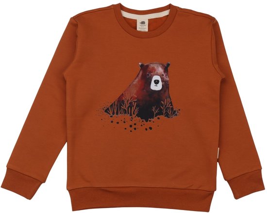 Capybara, Jongens, Meisjes, Casual Sweatshirt, New Kids Katoen, Cartoon Capybara, Jongens, Meisjes, Casual Sweatshirt, New Kids Katoen, Cartoon