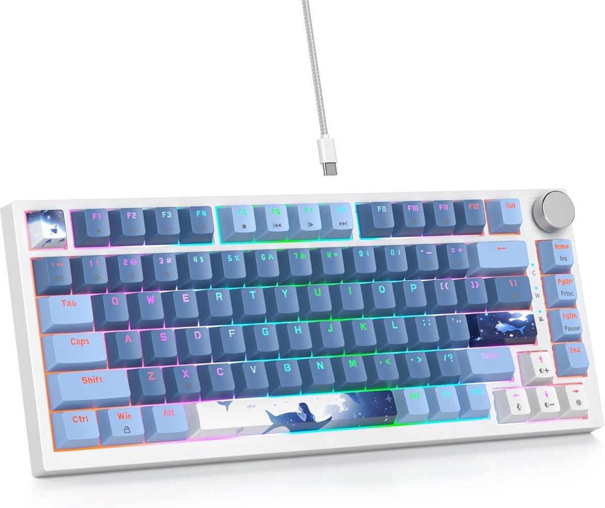 Compact mechanisch toetsenbord met RGB-achtergrondverlichting en programmaknoppen