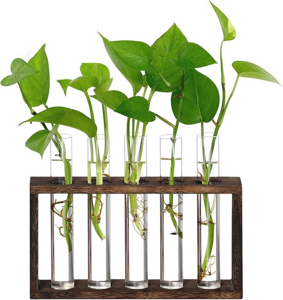 Hangend vermeerderingsstation voor planten, bloemen, 2 verdiepingen, 9 reageerbuisjes, vaas met houten standaard, hydrocultuur, planten, propagatiestation voor huis, tuin, kantoor, woonkamer