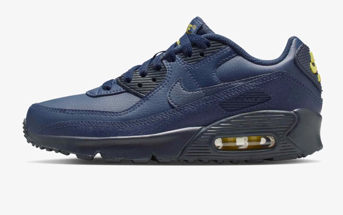 Nike Nike Air Max 90 LTR- Sneakers Blauw