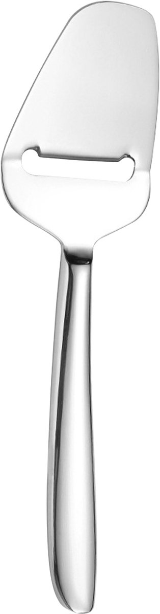 Kaasschaaf - Voor Belegen en Oude Kazen - RVS - Vaatwasserbestendig - Ergonomisch - Zilver