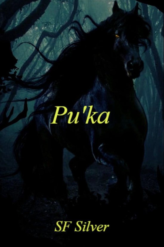 Pu'ka - cover