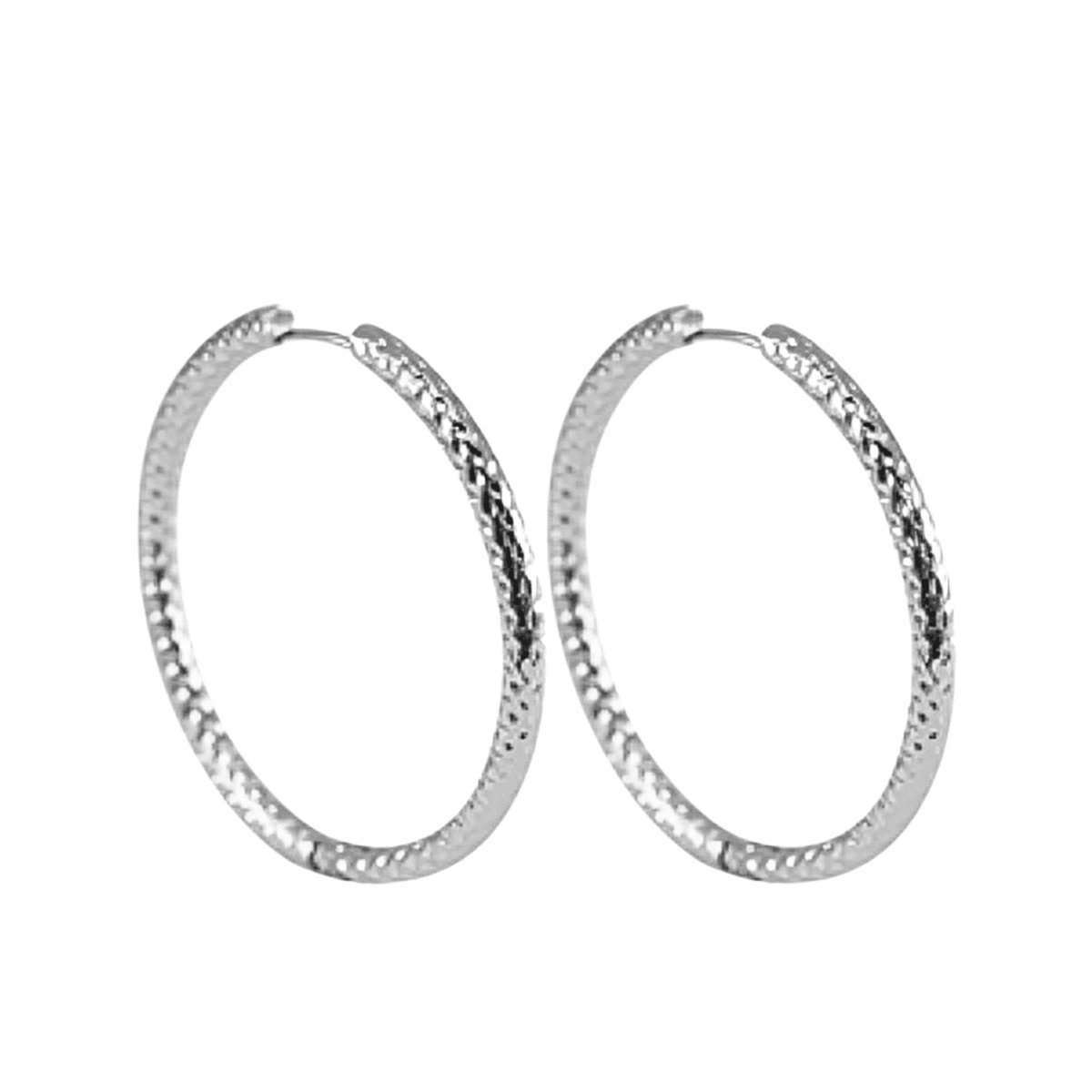 Planet Pink - Hoop oorbellen snake zilver - Stainless Steel - Roestvrij Staal rvs - Waterproof