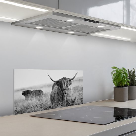 Canvas Schotse hooglander - Canvas schilderij