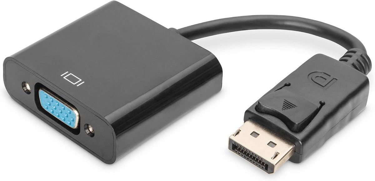 DisplayPort naar VGA Adapter - Full HD 1080p, 60Hz, 15cm