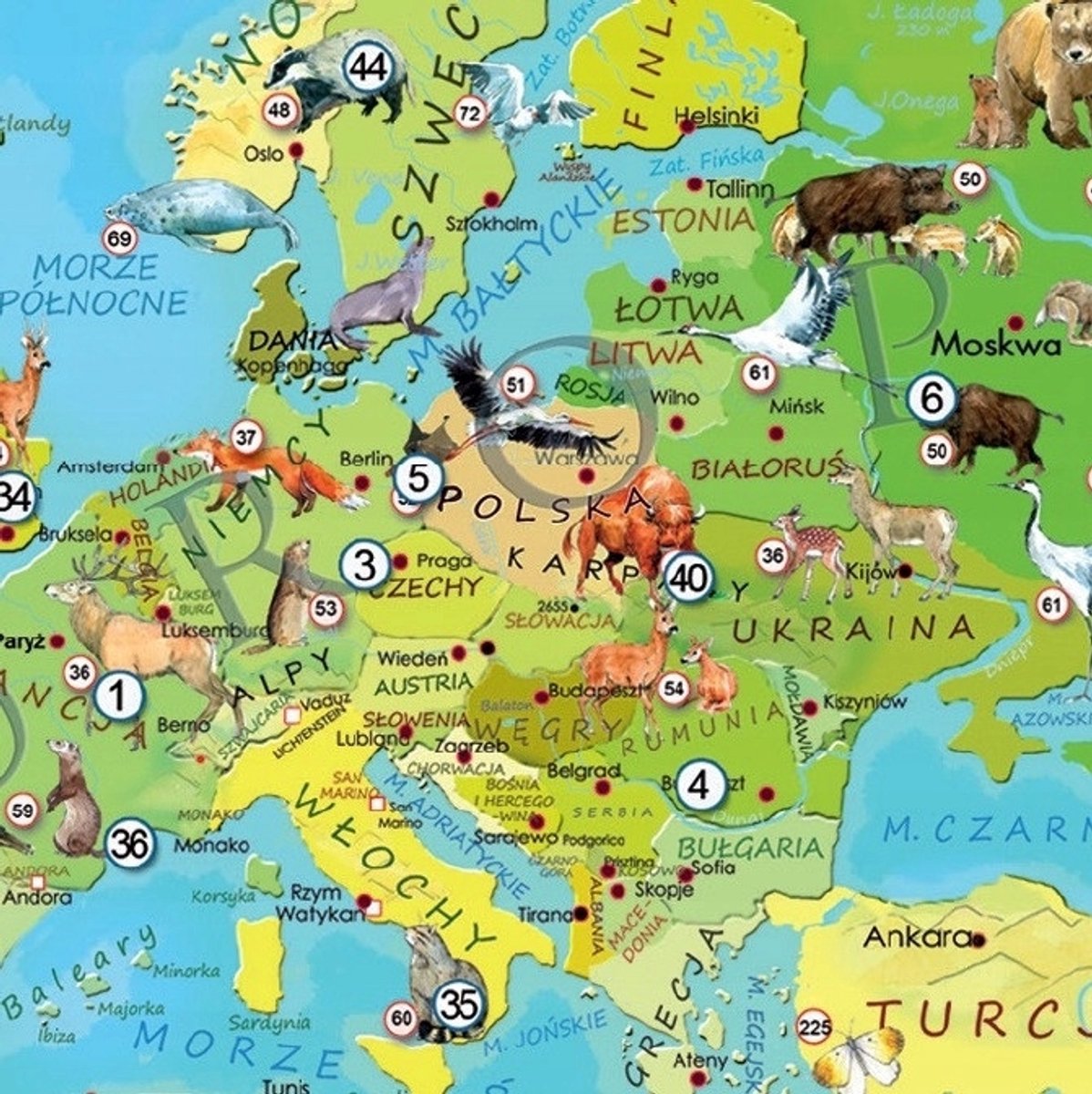 Wereld Dieren Puzzel 200 Stukken - Educatief en Leuk voor Kinderen