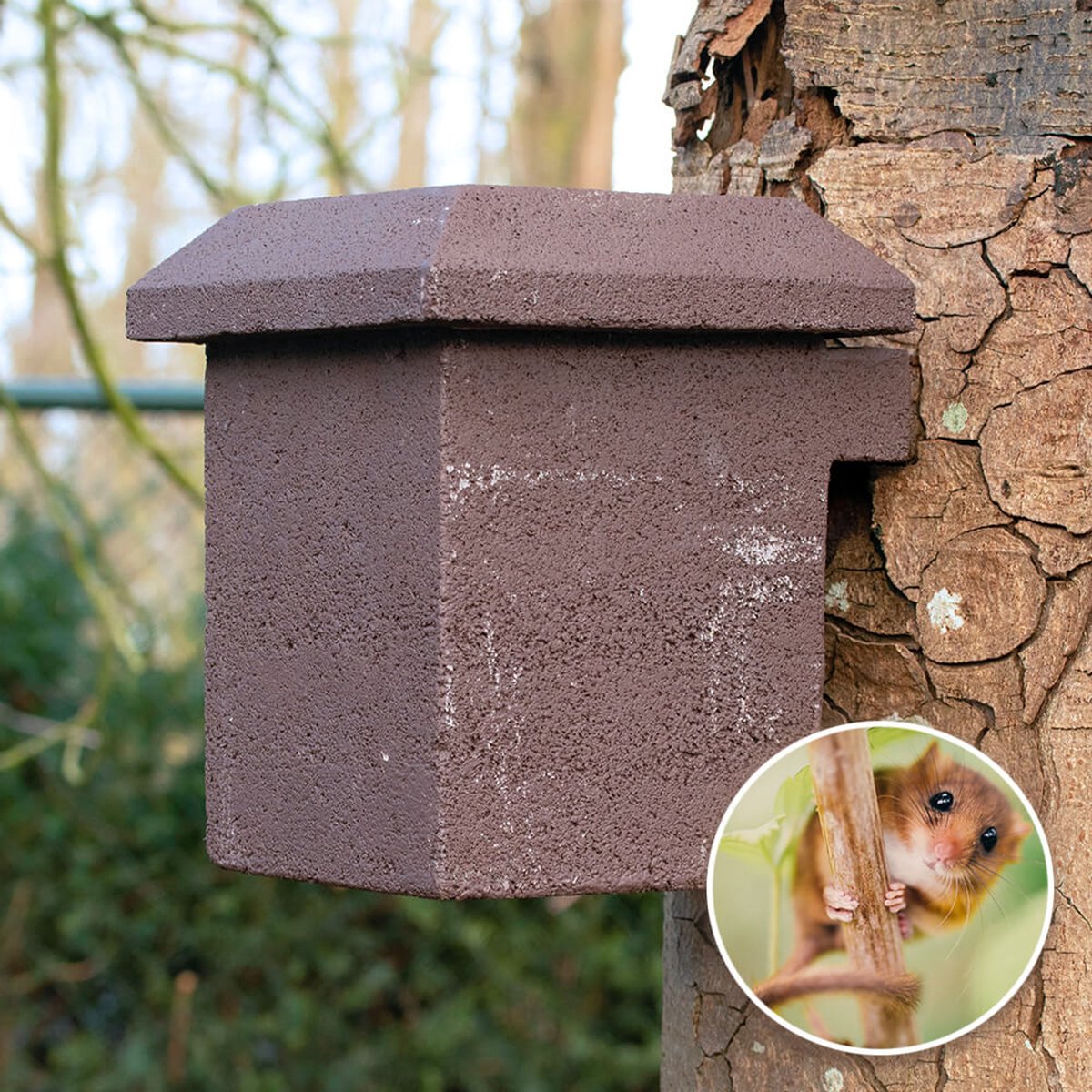 CJ Wildlife Nestkast voor Hazelmuis - Nestkastje - FSC-gecertificeerd Hout - 10 Jaar Garantie - Bruin
