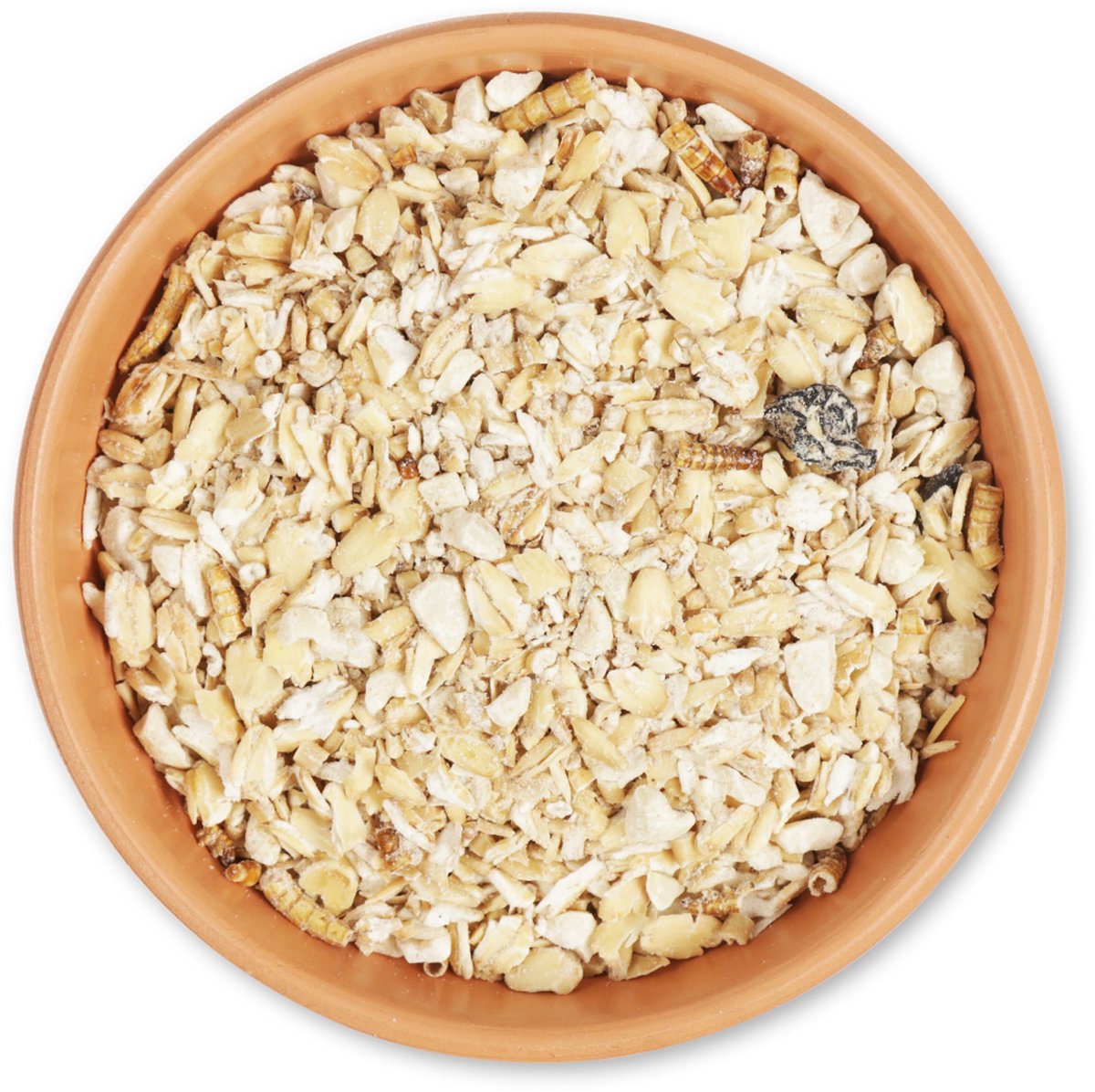 CJ Wildlife - Premium Vetvoer met Meelwormen 2.5kg - Voor tuinvogels - Extra eiwitten