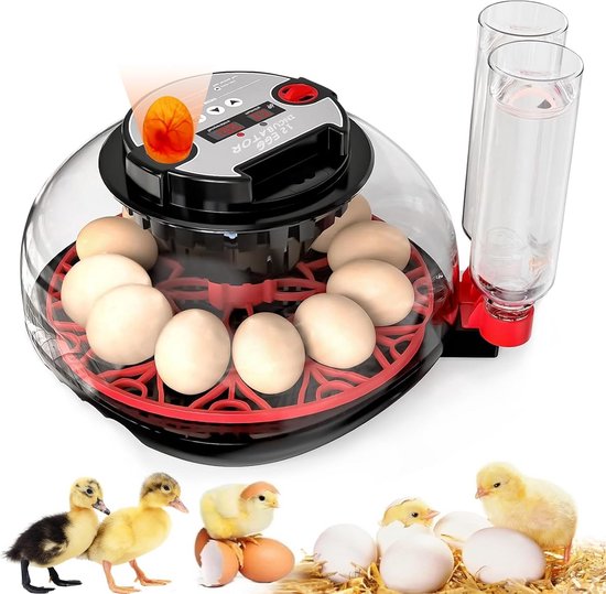 Automatische broedmachine met 12 eiercapaciteit en temperatuurregeling ...