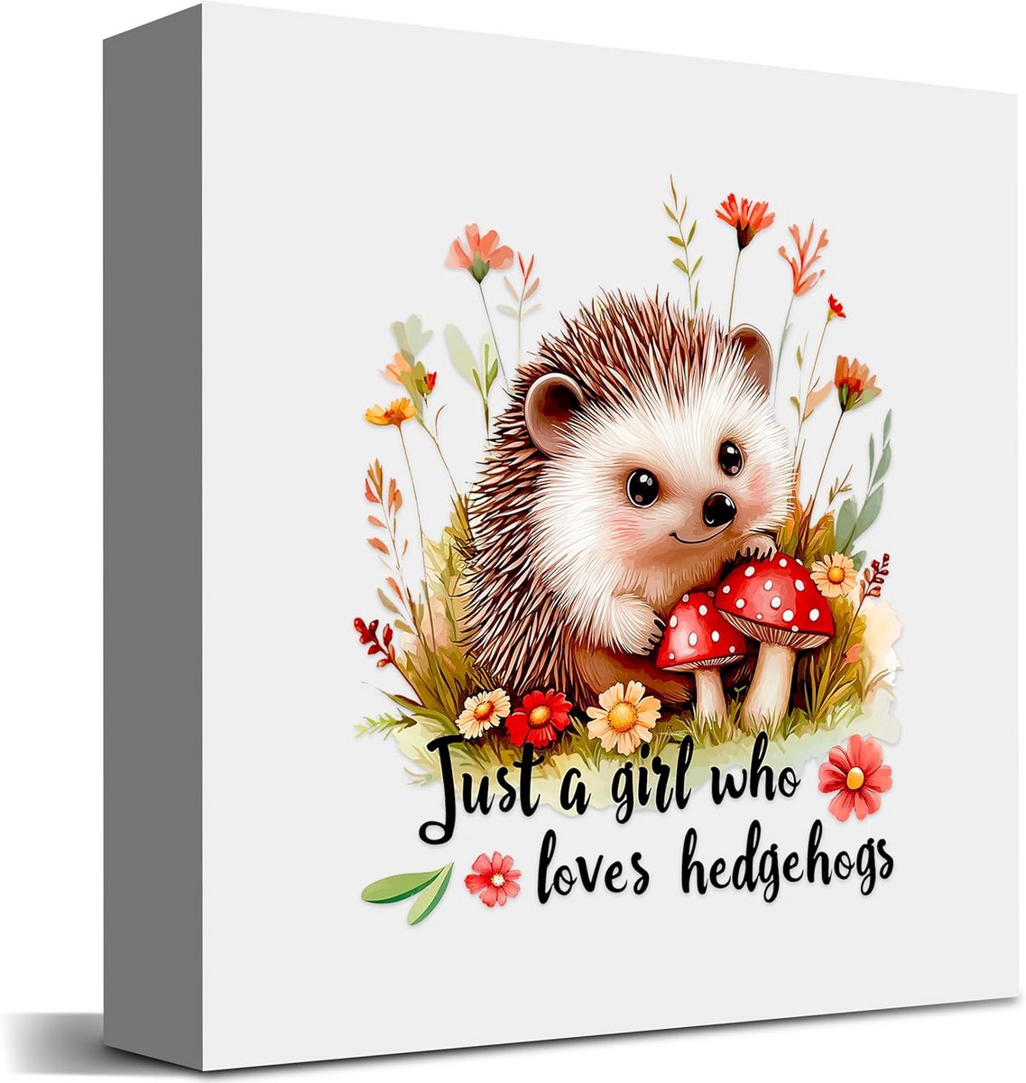 Hedgehog Decoration Wooden Box Sign for Home and Room - Perfect Gift for Animal Lovers