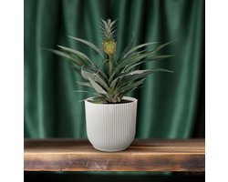 Hello Plants Bromelia Ananasplant - Ø 12 cm - Hoogte: 30 cm - Kamerplant