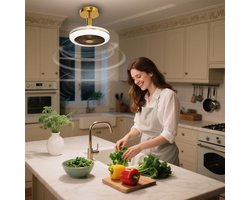 Stille Plafondventilator met LED Verlichting en Afstandsbediening voor E27 Fitting