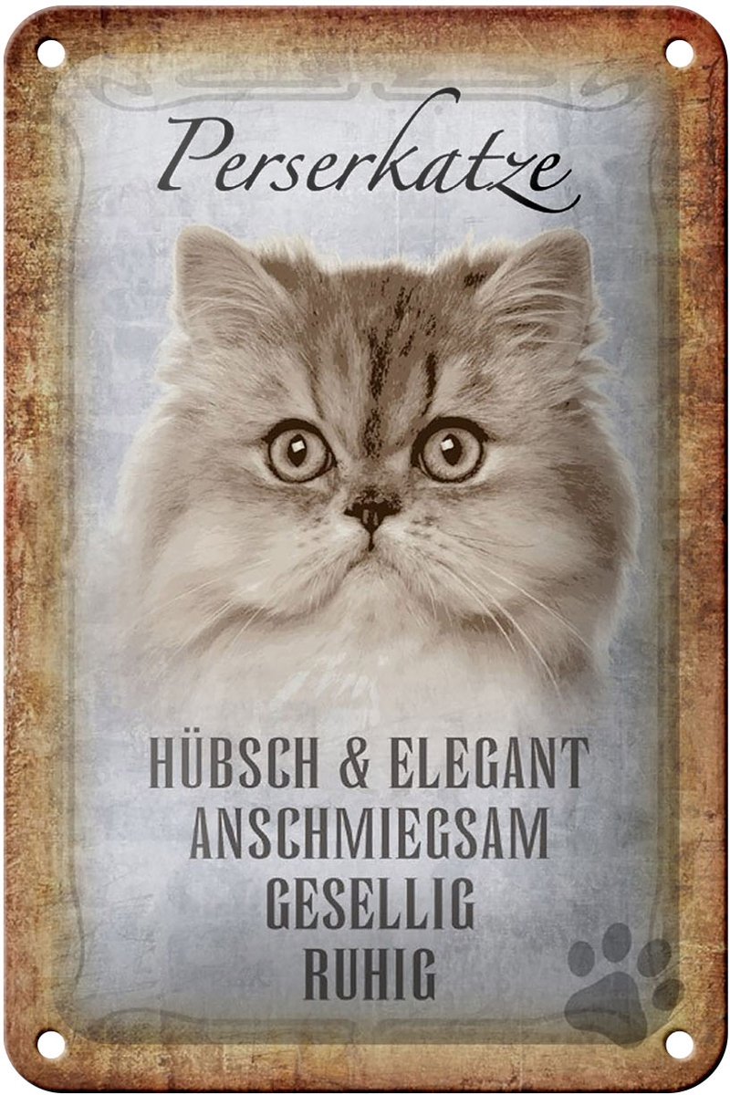 Blechschild Spruch 12x18cm Perserkatze Katze hübsch