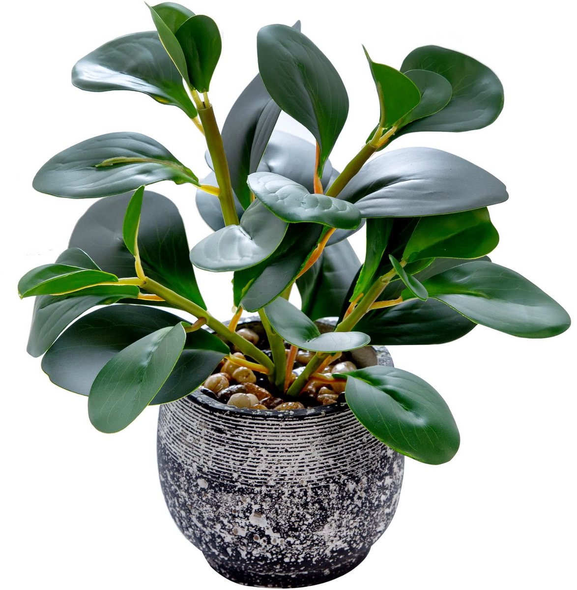Unyqoos Decoratieve groene plant in stevige pot voor binnen en overdekte buitenruimtes Zwart