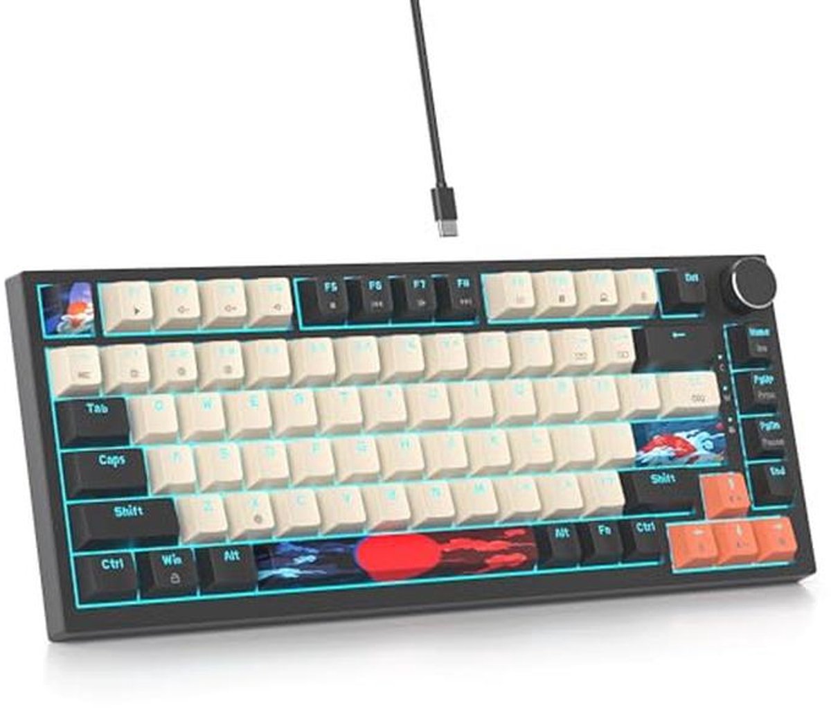 Compact Mechanisch Toetsenbord met RGB Verlichting en Hot Swappable Functie