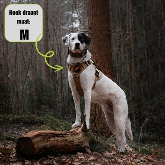 Een witte hond met zwarte vlekken draagt een beige tuigje in maat M in een bosrijke omgeving.