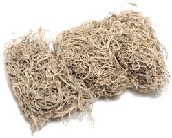 Mos Tillandsia 80gr Naturel