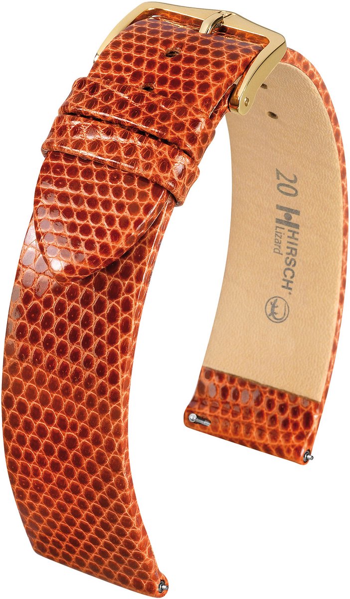 HIRSCH LIZARD M BROWN -14mm 01766170-1-14