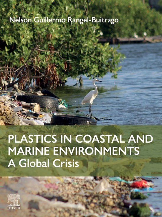 Plastics in Coastal and Marine Environments - cover