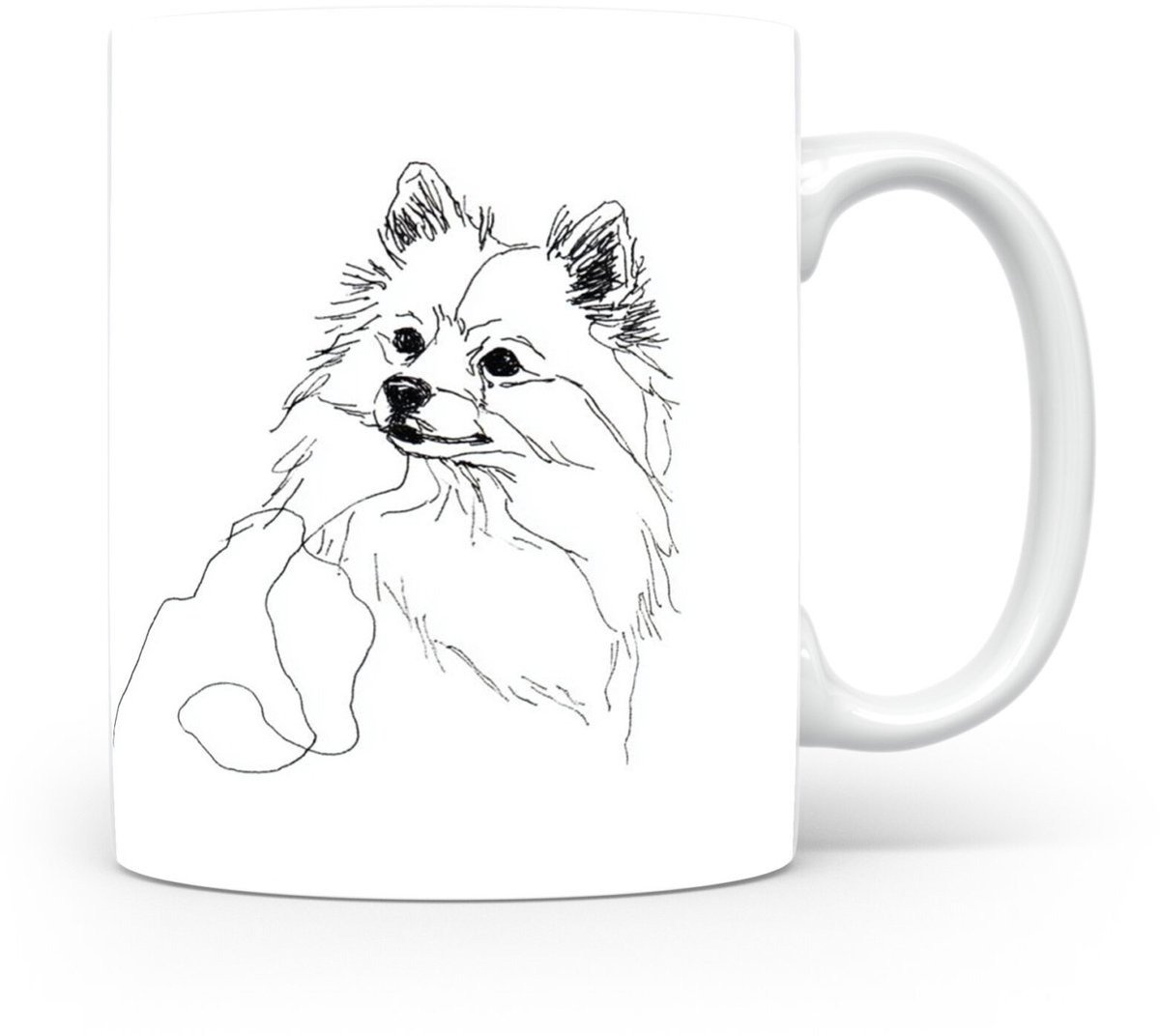 Beker Dwergspits / Pomeriaan Kleinspitz