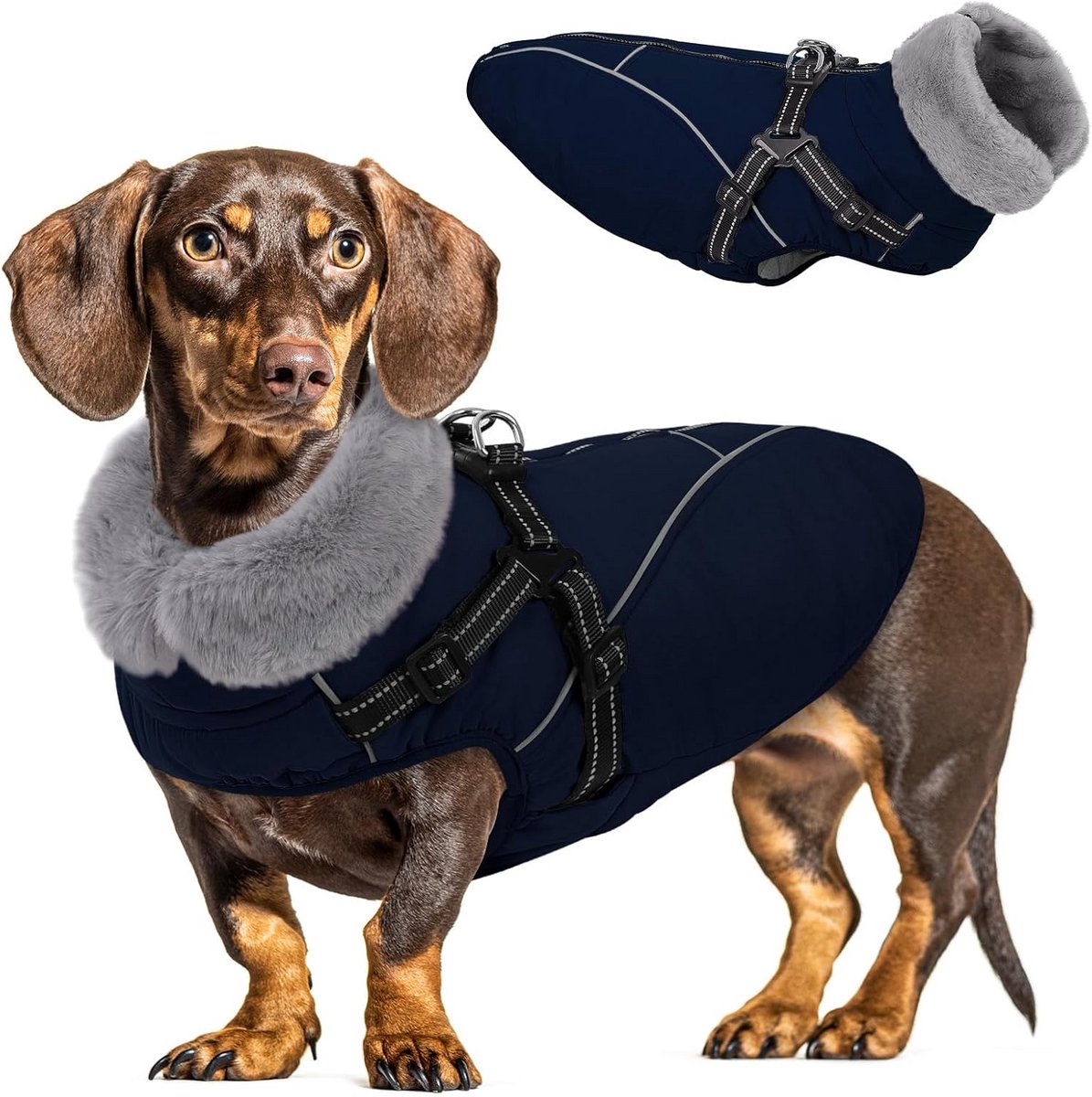 Waterdichte Winterjas voor Hond met Harnas - Warm en Veilig