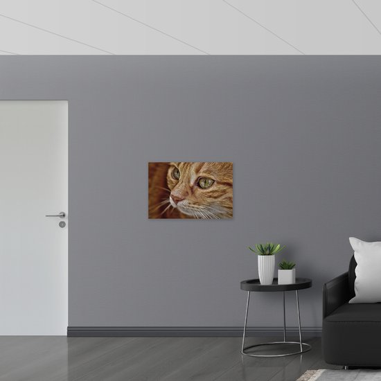 WallClassics - Acrylglas - Close Up van Bruine Ogen van Kat - 75x50 cm Foto op Acrylglas (Wanddecoratie op Acrylaat)