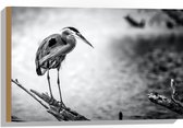 WallClassics - Bois - Cigogne assise sur une branche d'arbre - 60x40 cm - 9 mm d'épaisseur - Photo sur bois (avec système de suspension)